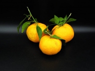 Mandarinen per Kilo