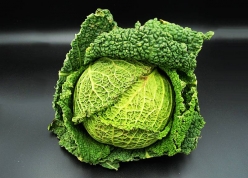 Cabbage / Kilo