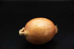 Yellow Onions / kilo