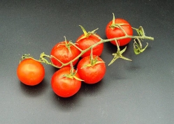 Cherry Tomatoes / Kilo
