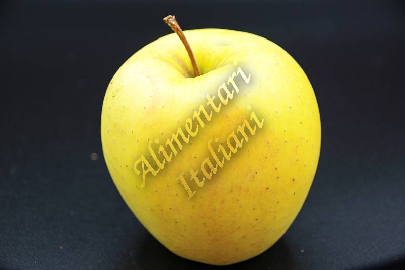 BIO Apfel Golden Delicious per Kilo - zum Schließen ins Bild klicken