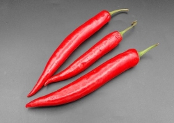 Red Peppers / Kilo
