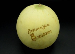 Cantaloup Melon / Kilo