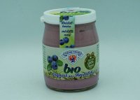 Heidelbeer Joghurt Bio 150g