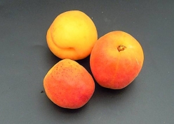 Apricots / Kilo