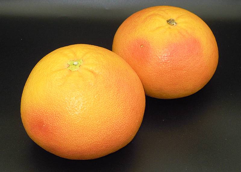 Grapefruit - Click Image to Close
