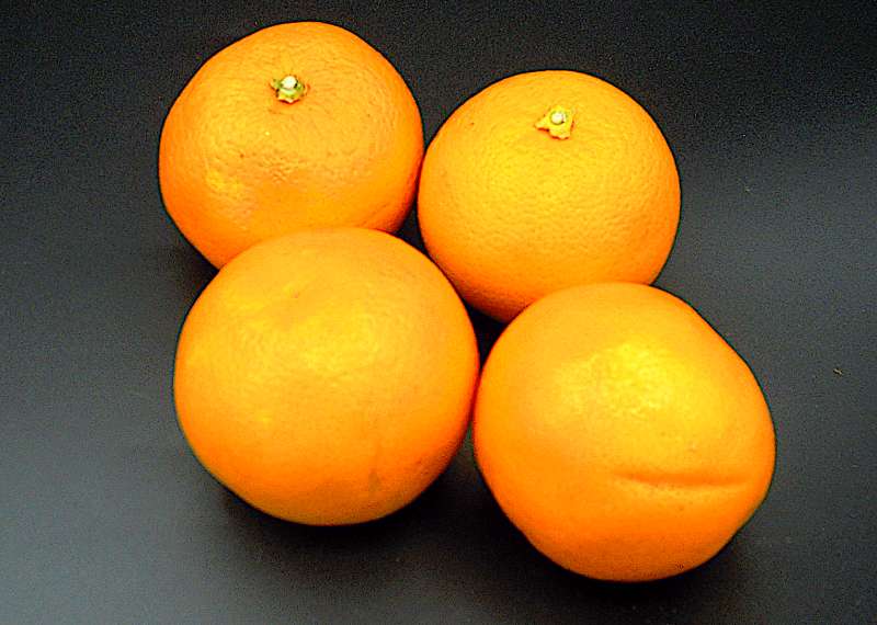 Oranges Tarocco - Click Image to Close