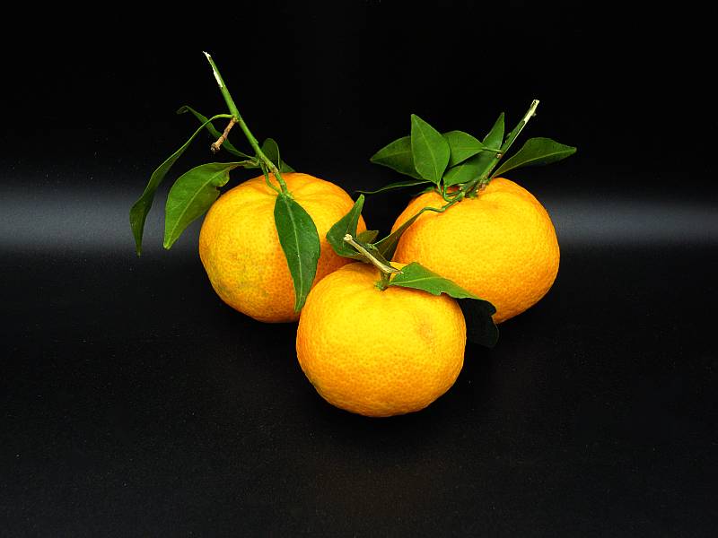 Tangerines / Kilo - Click Image to Close