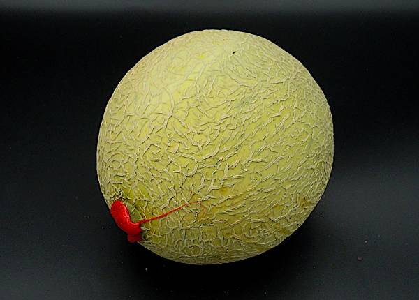 Zuckermelone Cantaloup - zum Schließen ins Bild klicken