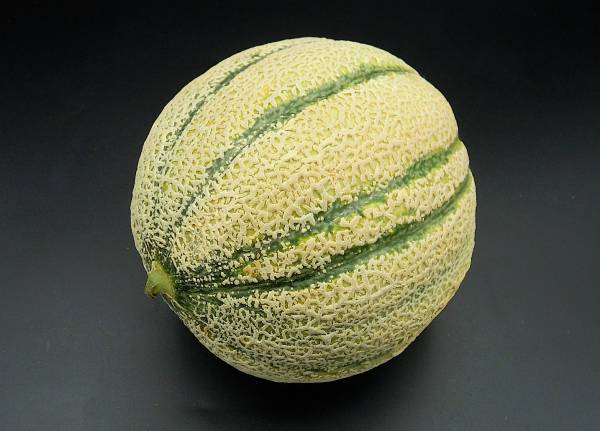 Zuckermelone per Kilo - zum Schließen ins Bild klicken