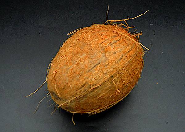 Kokosnuss braun - zum Schließen ins Bild klicken