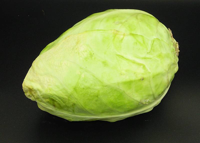 Cabbage - Click Image to Close