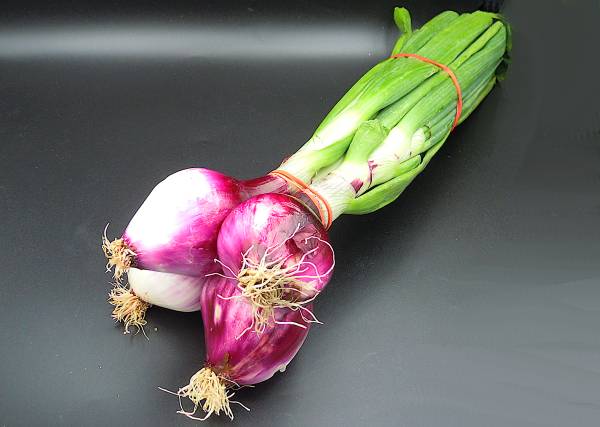 Spring Onions Viola - Click Image to Close