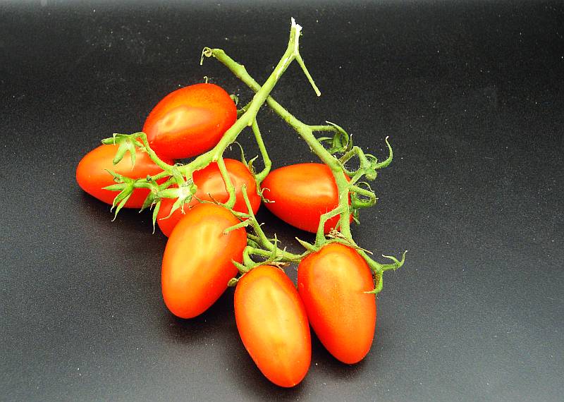 Datterino Tomaten rot - zum Schließen ins Bild klicken