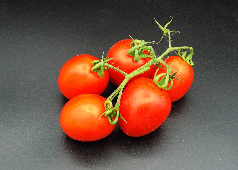 Olivetti Tomaten - zum Schließen ins Bild klicken
