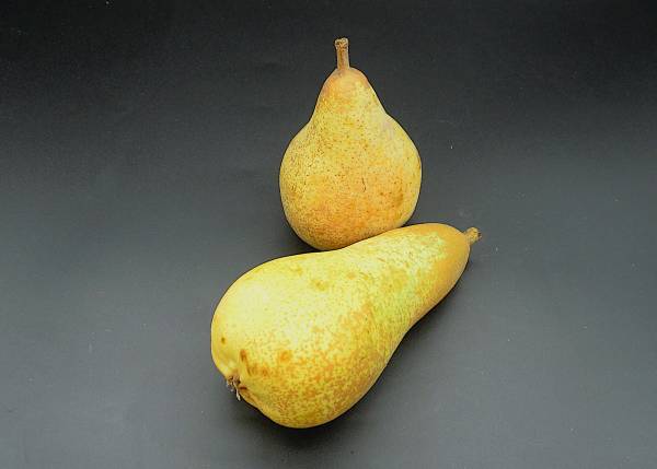 Pear Abate / kilo - Click Image to Close