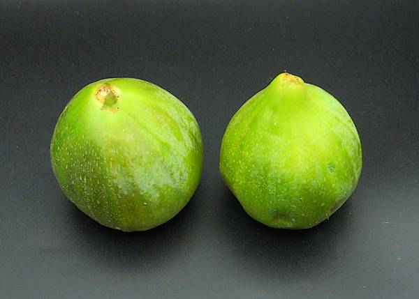 Green Figs - Click Image to Close