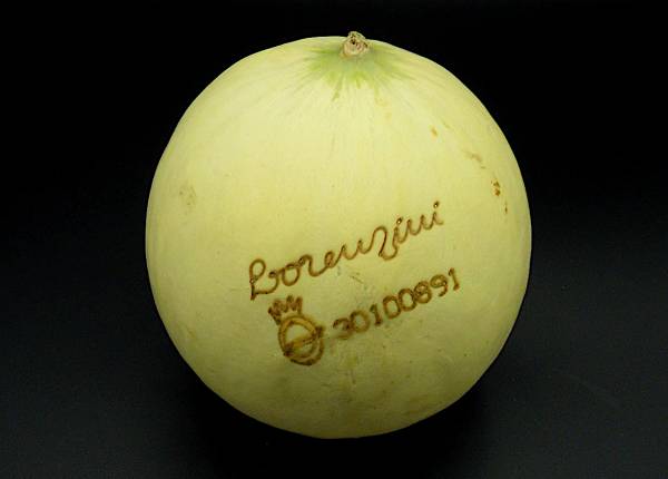 Cantaloup Melon / Kilo - Click Image to Close