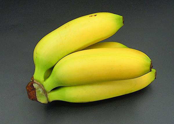 Bananen Baby - zum Schließen ins Bild klicken