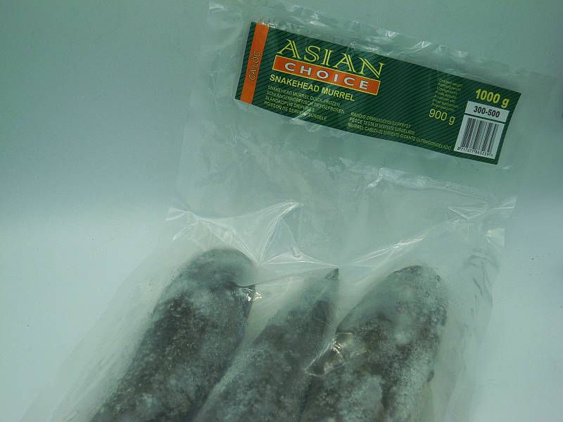Snakehead Fish 1000g - Click Image to Close