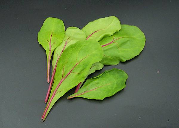 Swiss Chard red - Click Image to Close