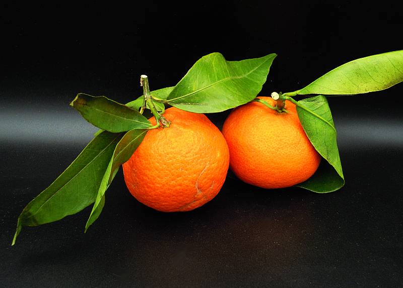 Clementinen per Kilo - zum Schließen ins Bild klicken