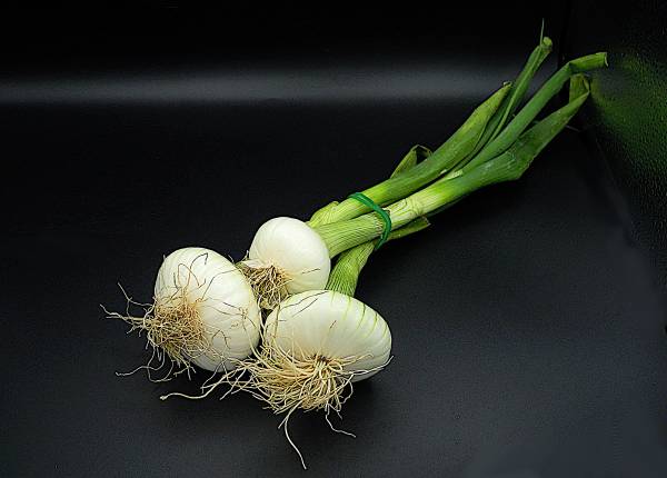 Spring Onions - Click Image to Close
