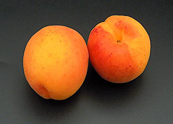 Apricots / Kilo - Click Image to Close