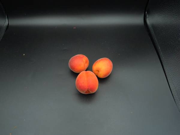 Apricots / Kilo - Click Image to Close